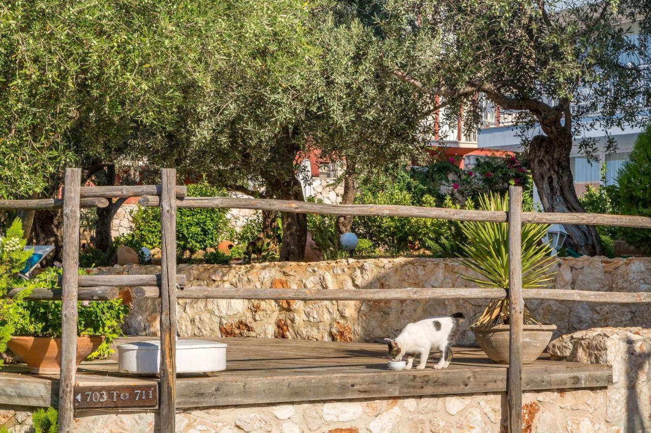 Oasis Hotel (Adults Only) Kalkan Extérieur photo